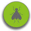 What is this sudden plague of flies?!