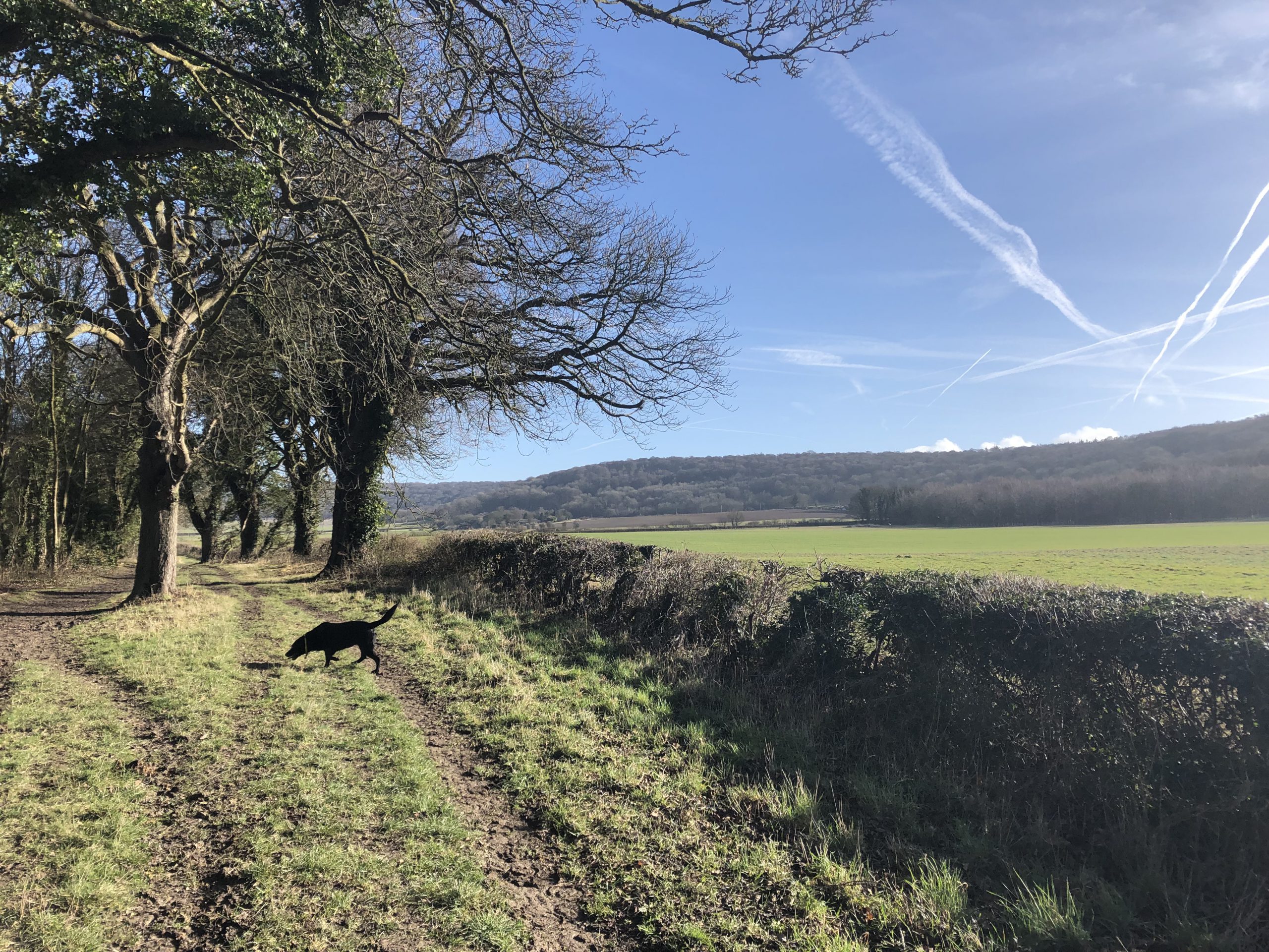 Walk the Ridgeway – Completed!