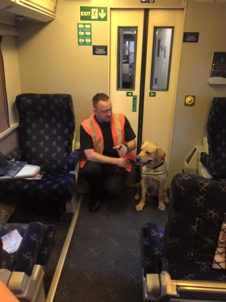Vermtek Case Study: Scent-Detection Dogs
